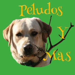 Peludos y más