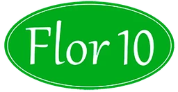 Flor 10