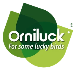 Orniluck