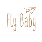 Fly Baby