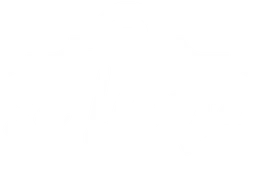 Sa Llotja