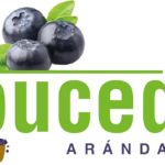 Toucedo