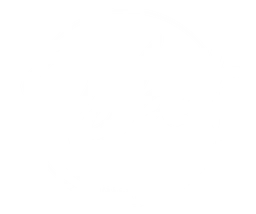 Rebel Profesional