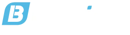 Bulevip