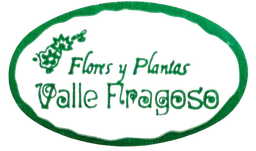 Floristería Valle Fragoso
