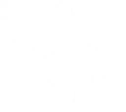 Rockpull