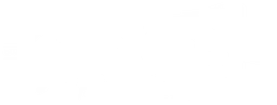 Pure Racer