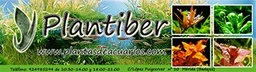 Plantiber