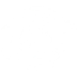 TopSport