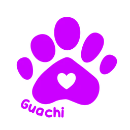 Guachi