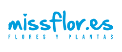 MissFlor
