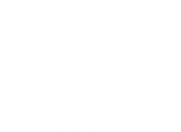 Bergonyó i Durall
