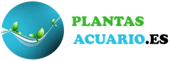 Plantas Acuario