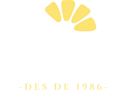 Cal Vicens