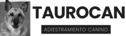TauroCan - Maoki Aventura & vida